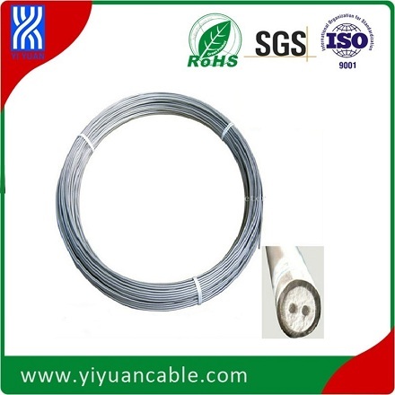 Stainless Steel Sheath K Type 4.0mm Simplex 2-Core Mi Thermocouple Cable