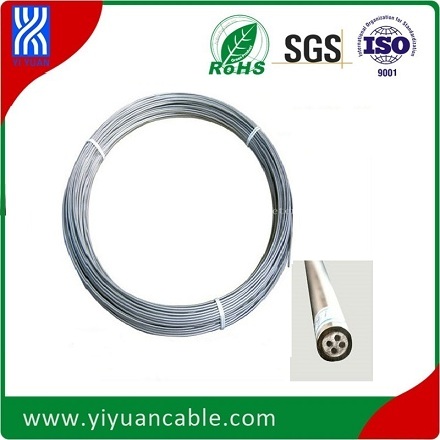 Stainless Steel Sheath N Type 4.0mm Duplex 4-Core Mi Thermocouple Cable